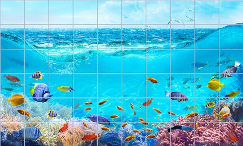 Tile mural with tropical fish and coral reef in the blue ocean